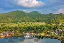 8x成人在线视频-8x成人在线视频，网络时代的隐私与安全考量