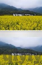 91麻豆视频下载-探索数字时代下的视频消费新趋势，91麻豆视频下载的现象剖析