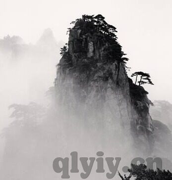 大象传媒地址-探寻大象传媒的独特魅力，从其地址看其影响力