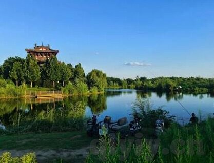 免播放器αv成人在线视频-免播放器αv成人在线视频，网络时代的灰色地带与伦理考量