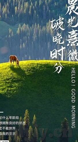 欧美成成人在线视频-欧美成人在线视频，文化、影响与边界的探讨