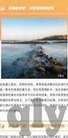 日韩av下载-日韩AV下载，文化、法律与个人选择的交汇点