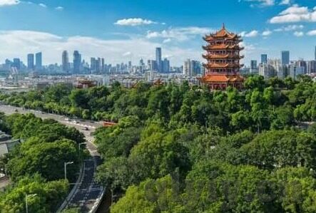 糖心交友一对一app-糖心交友一对一应用，在数字时代的浪漫桥梁