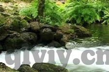 糖心vlog官网进入-探索多元视界，揭秘糖心Vlog官网的魅力之旅