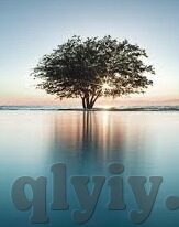 亚洲v日韩免费av-亚洲影视文化新视角，日韩免费AV的多元解读